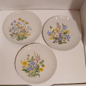 Gokden Crown Ebeling & Reuss weet Floral Plates